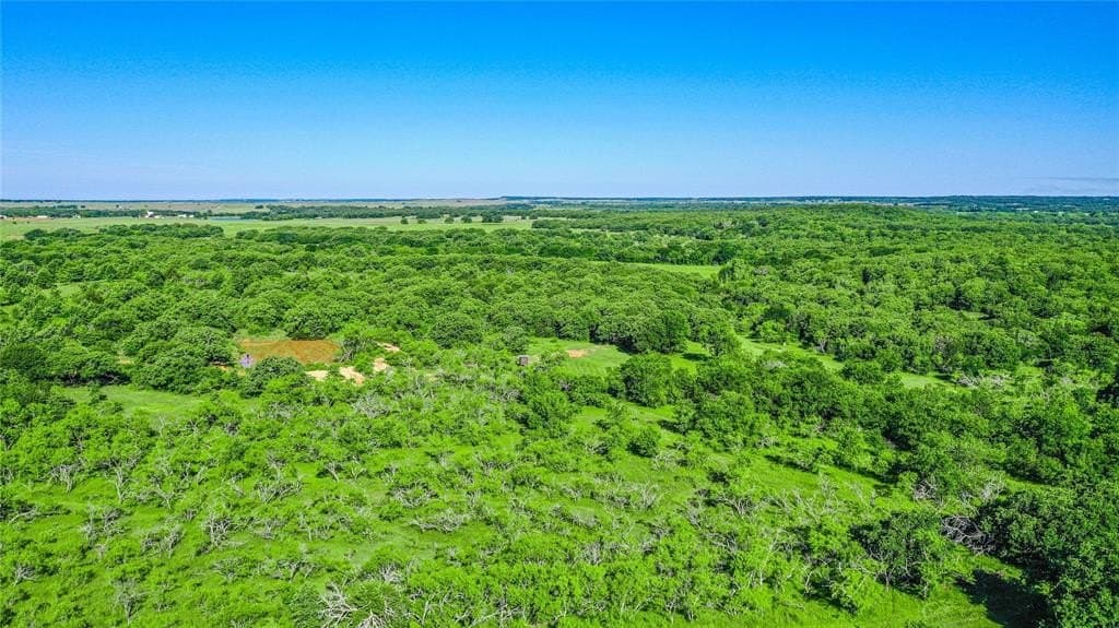 41.5 acres in Clay County featured view