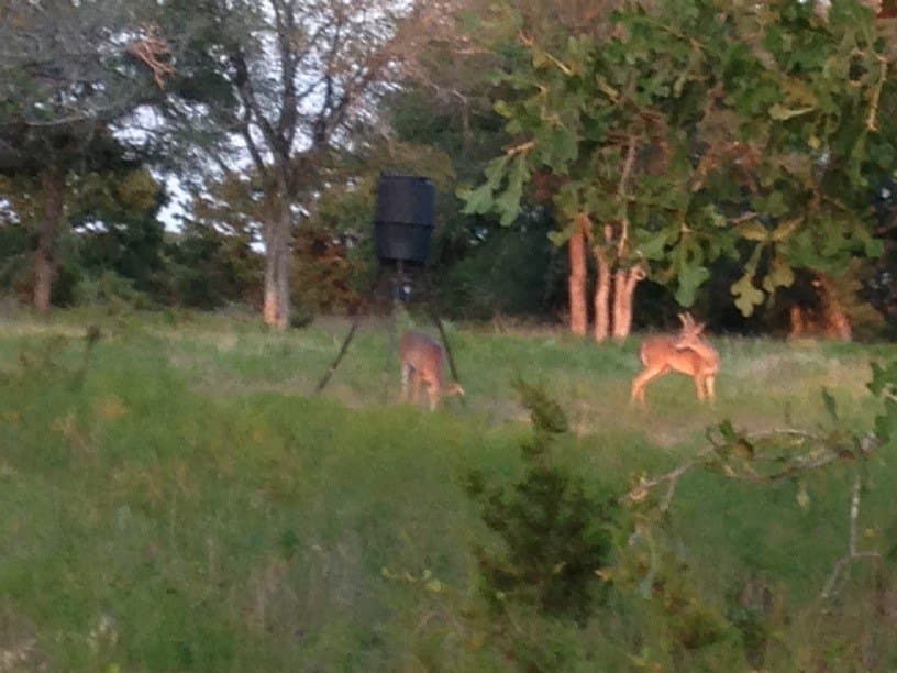 11.8 acres in Bosque County - photo 9