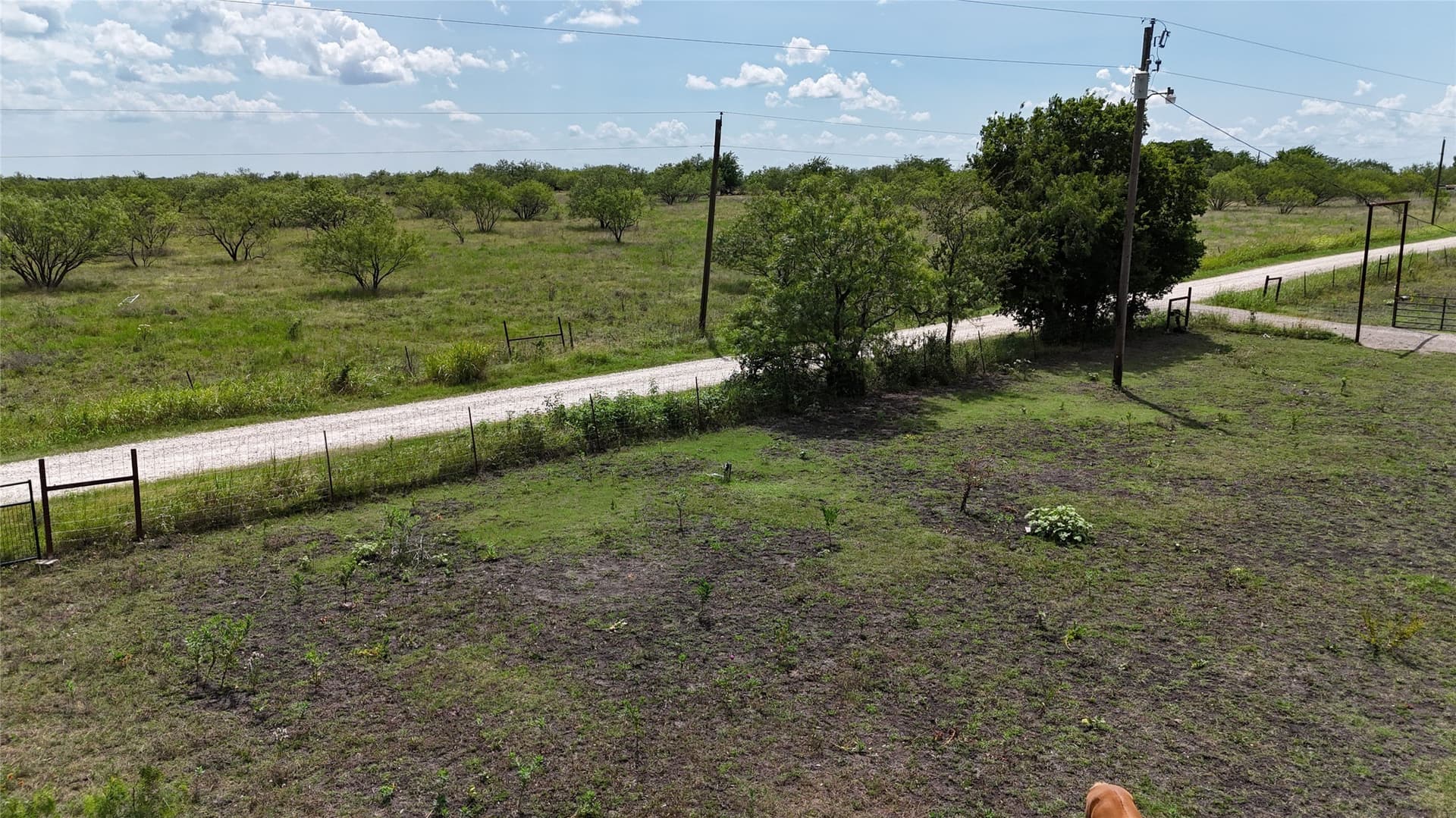 11.74 acres in Ellis County - photo 6