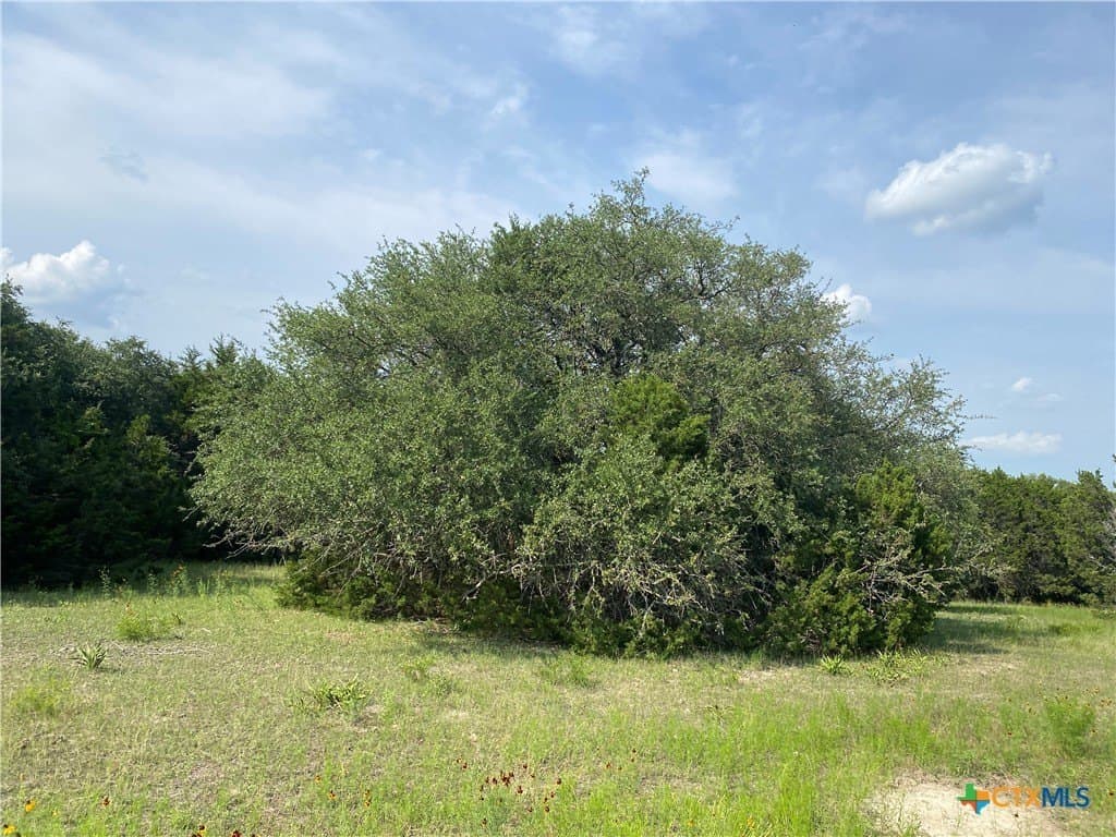 20 acres in Burnet County - photo 7