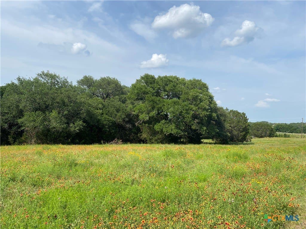 20 acres in Burnet County gallery image 2