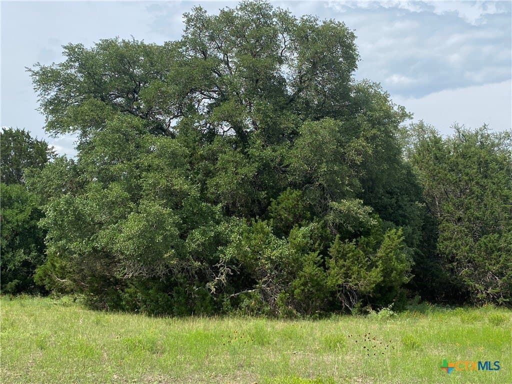 20 acres in Burnet County - photo 8
