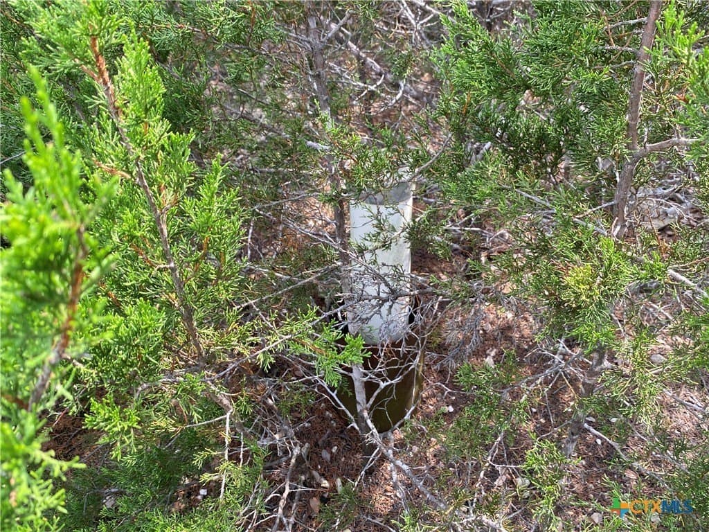 20 acres in Burnet County - photo 11