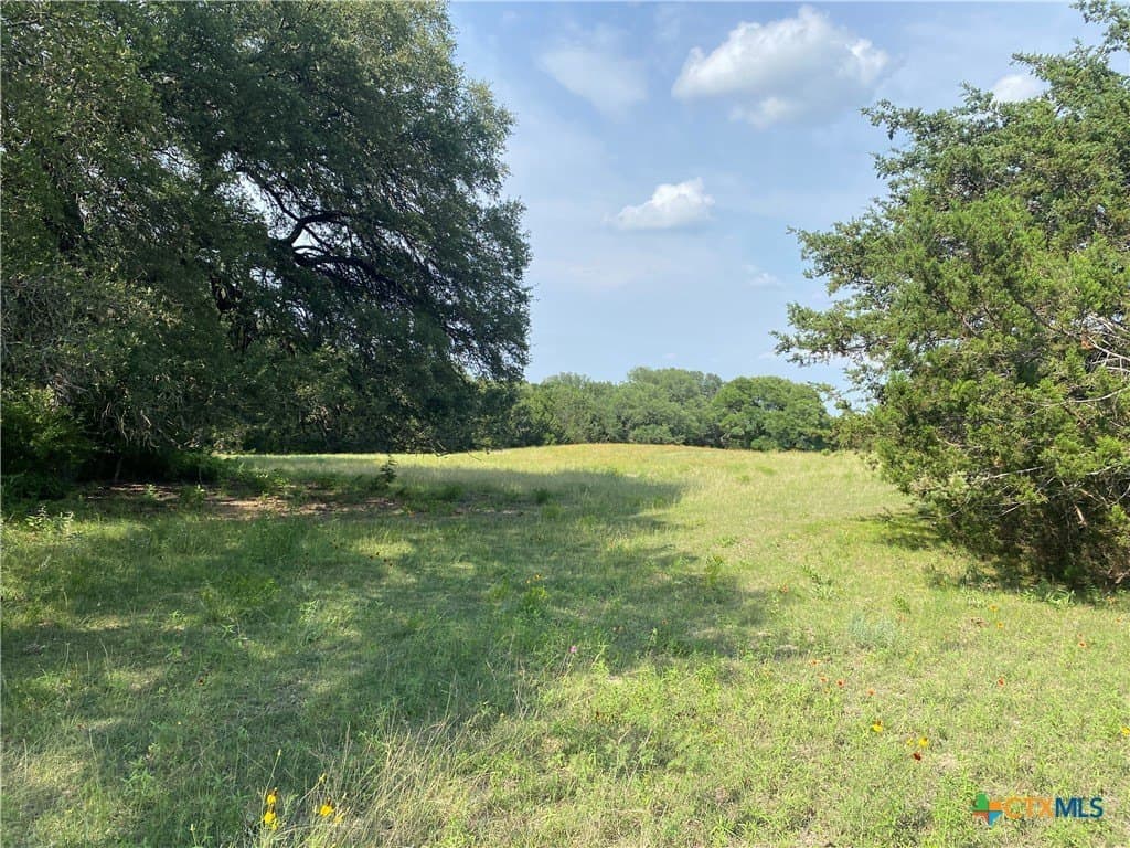 20 acres in Burnet County gallery image 3
