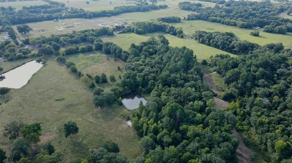 8.09 acres in Wood County gallery image 3