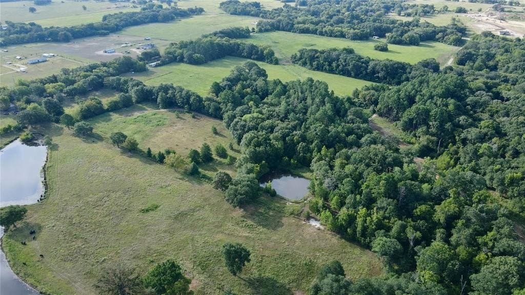 8.09 acres in Wood County gallery image 2