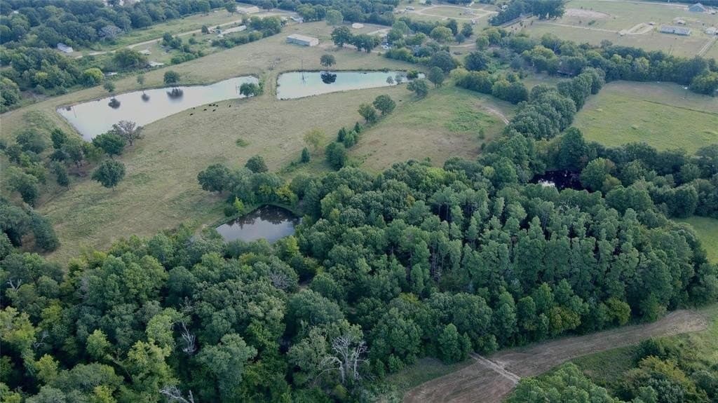 8.09 acres in Wood County gallery image 4