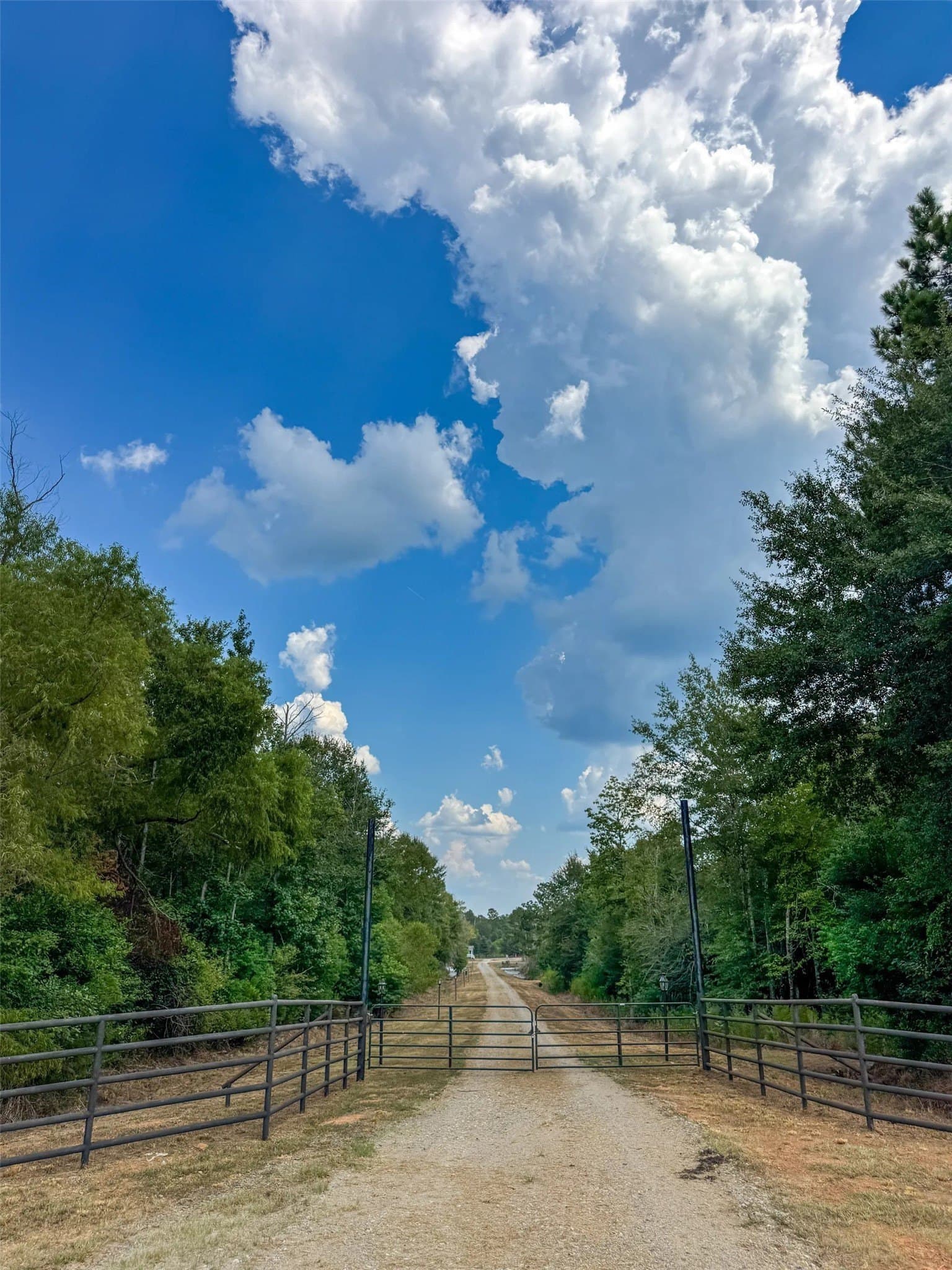 52.95 acres in Marion County - photo 37