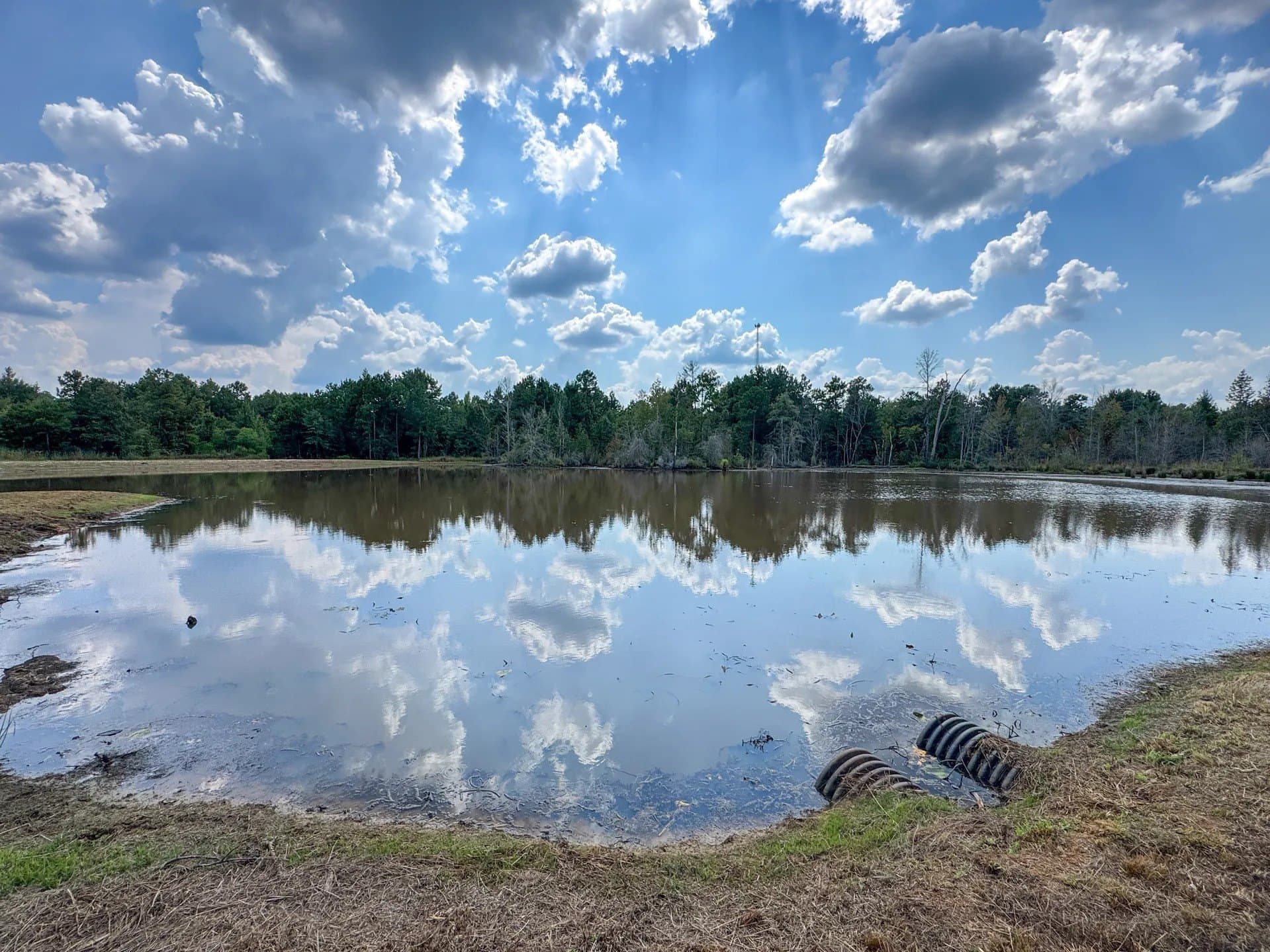 52.95 acres in Marion County - photo 39