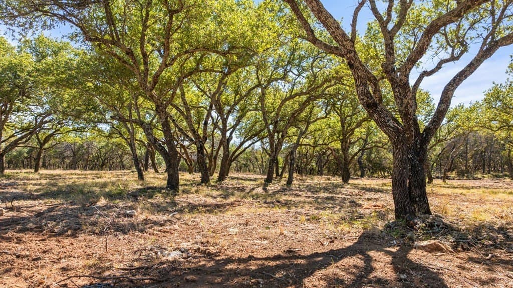 10 acres in Blanco County - photo 8