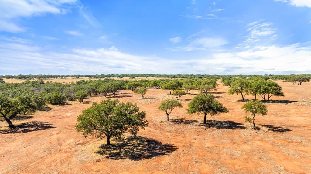 10 acres in Blanco County - photo 6