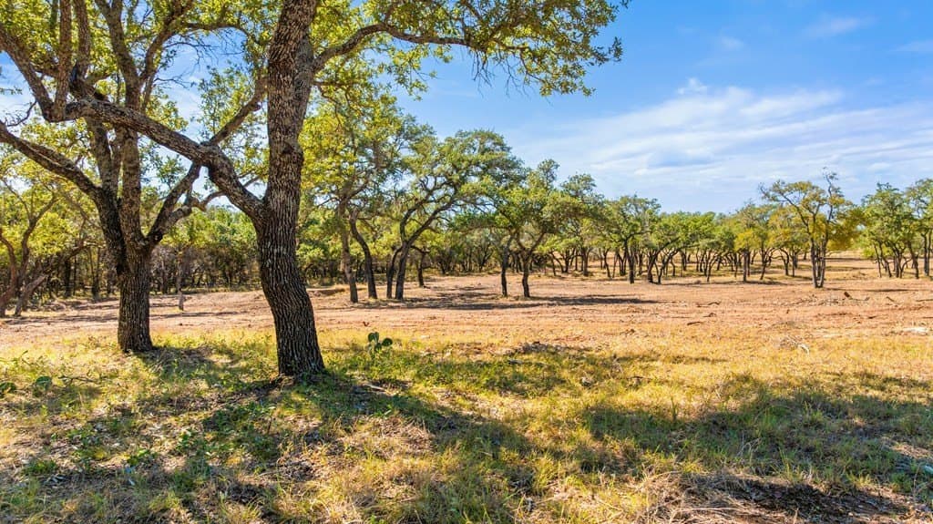 10 acres in Blanco County - photo 7