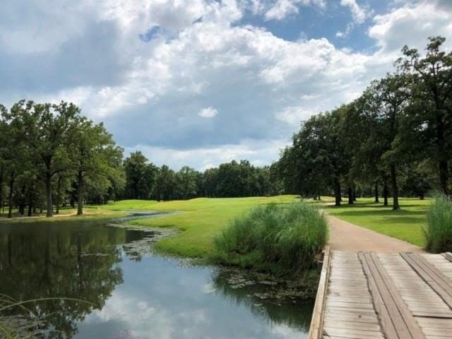 0.53 acres in Henderson County - photo 17