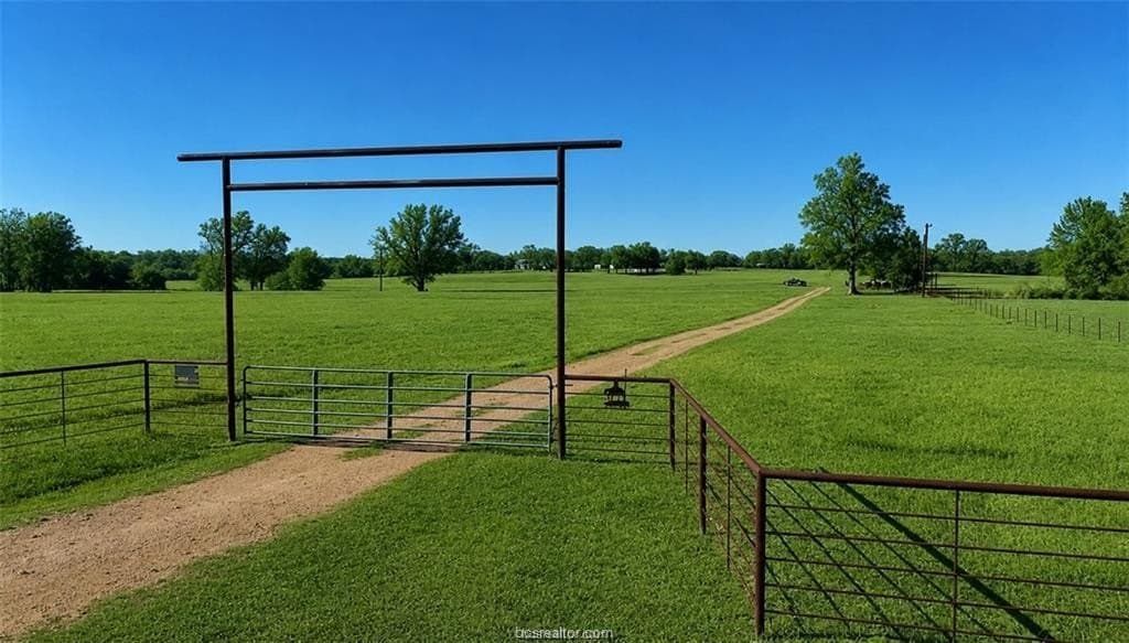 18.7 acres in Milam County gallery image 2