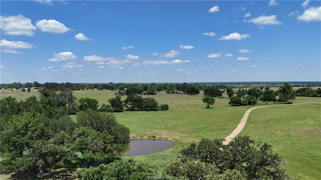 18.7 acres in Milam County gallery image 3