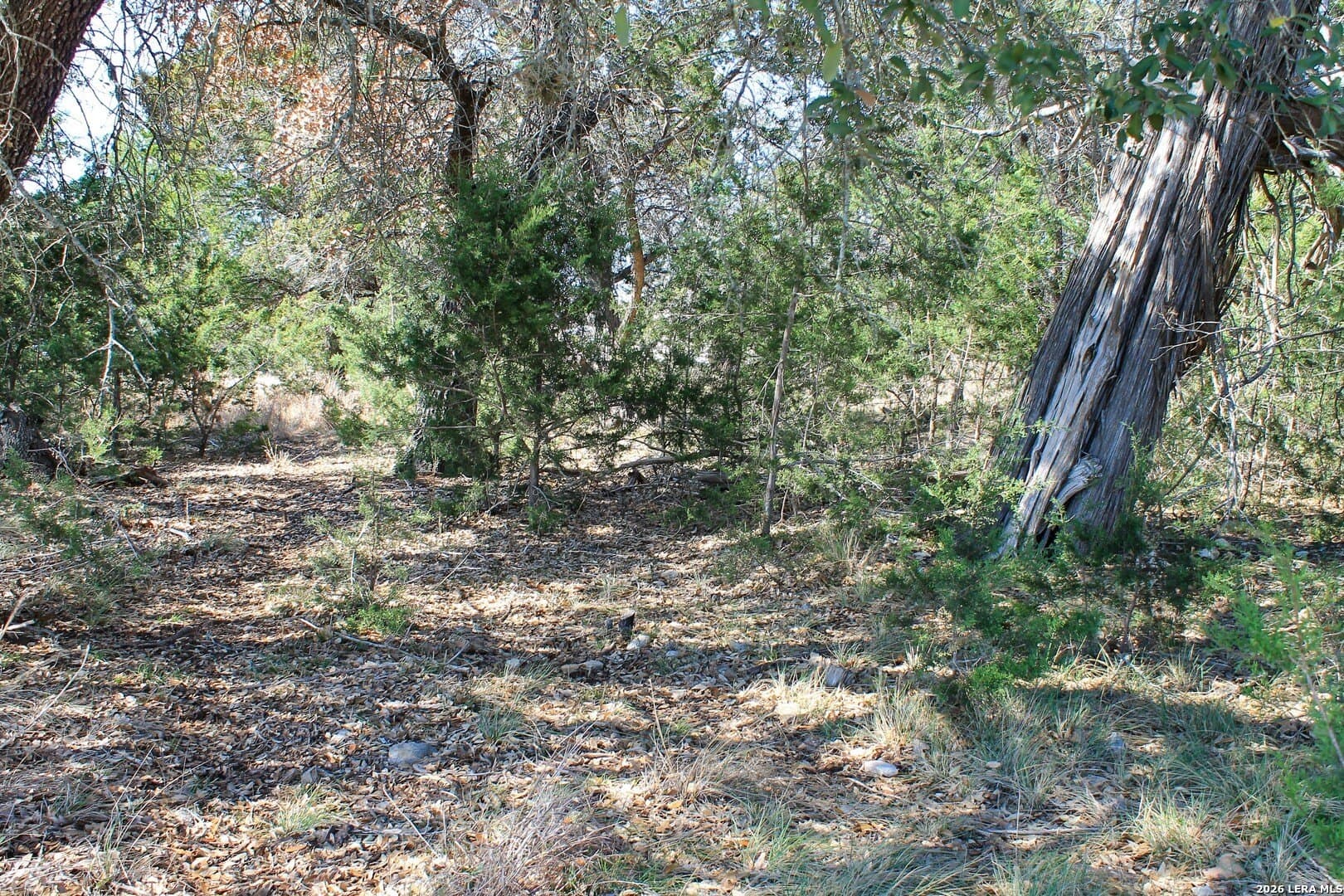 0.51 acres in Bandera County - photo 20
