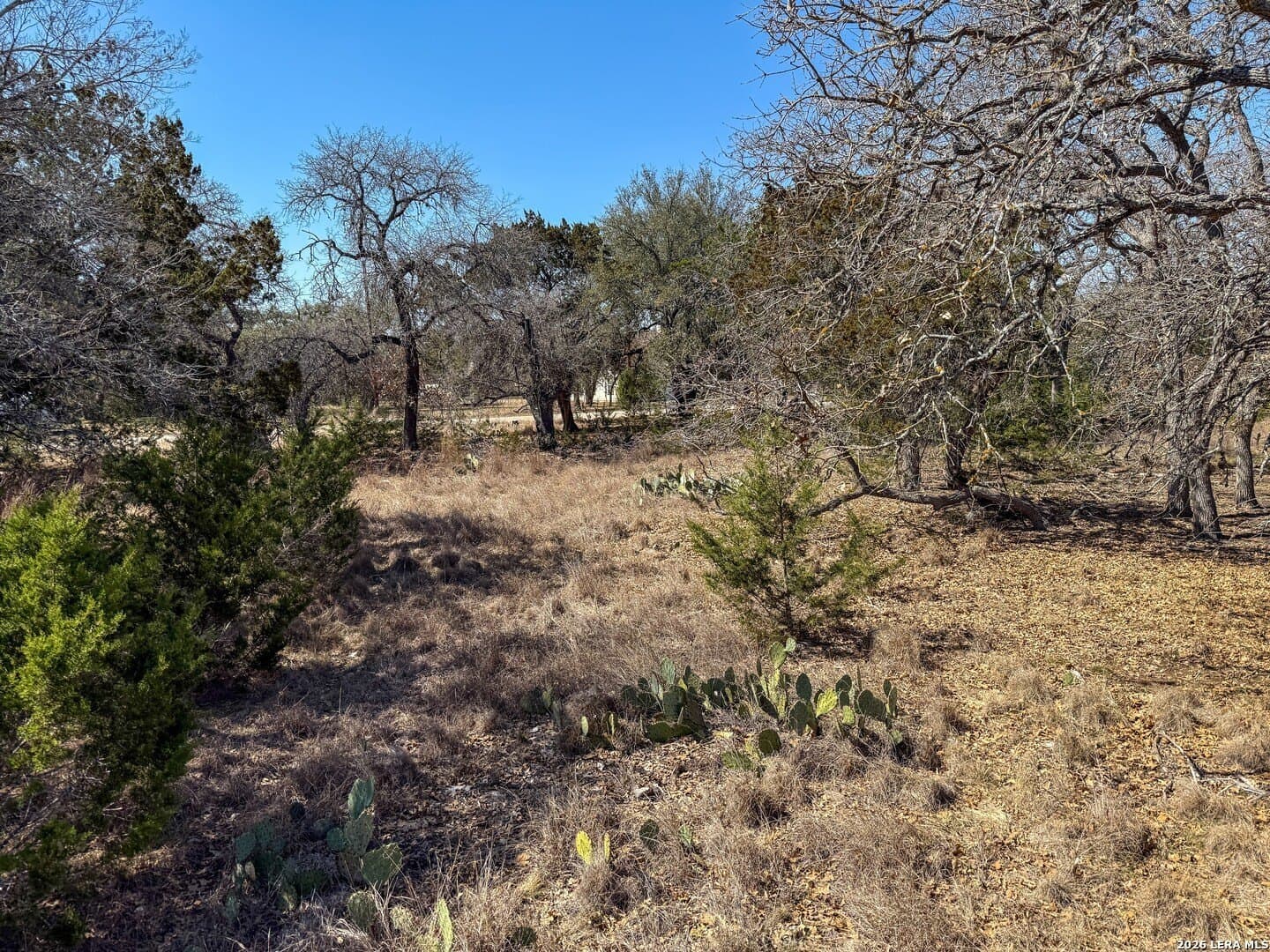 0.51 acres in Bandera County - photo 17