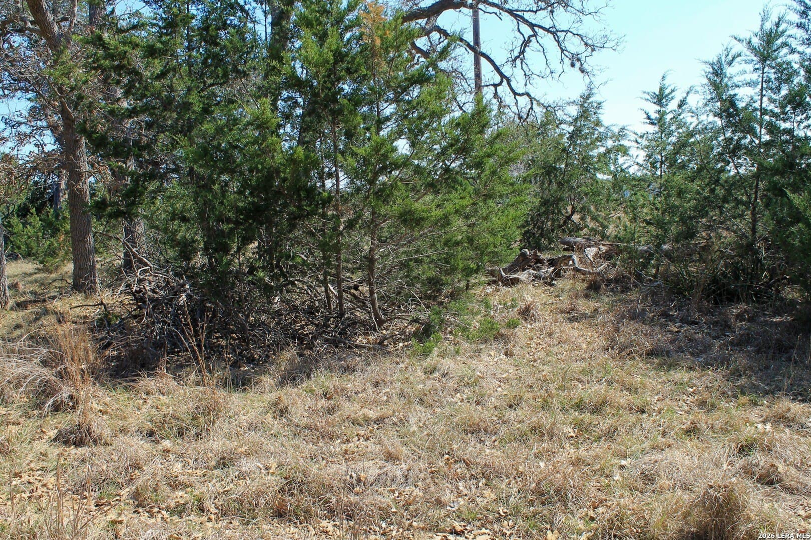 0.51 acres in Bandera County - photo 18