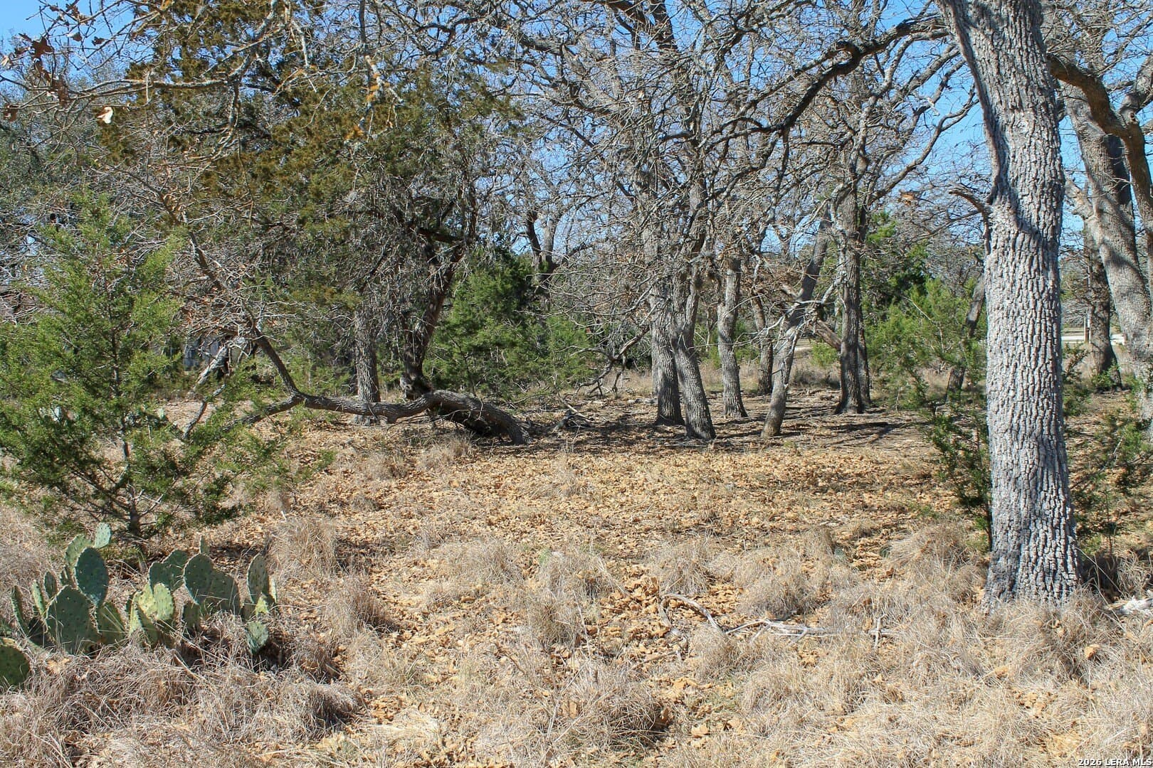 0.51 acres in Bandera County - photo 22