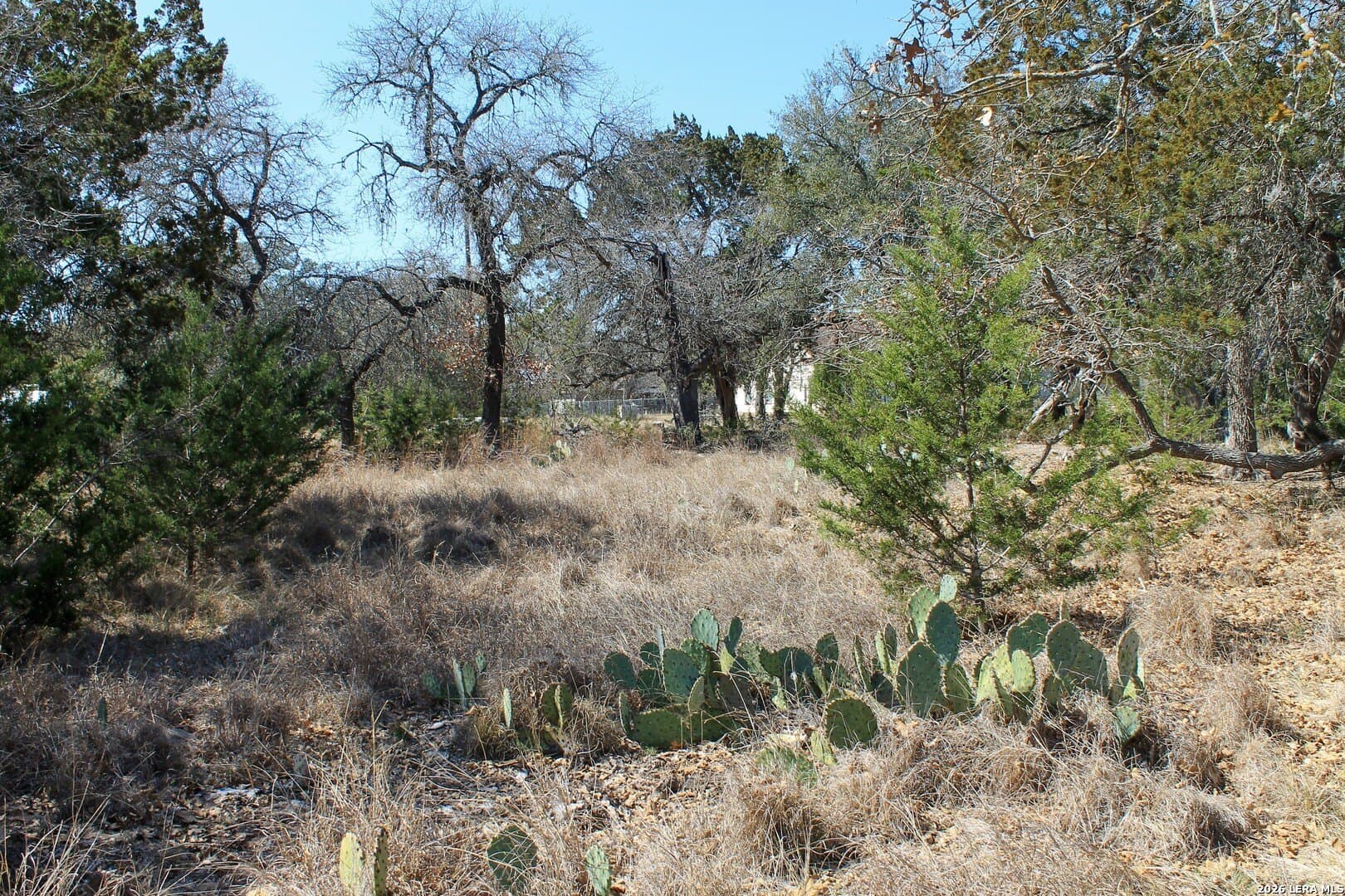 0.51 acres in Bandera County - photo 21