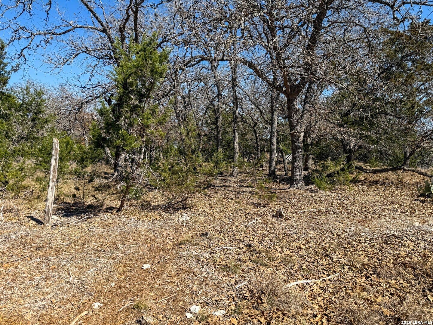 0.51 acres in Bandera County - photo 14