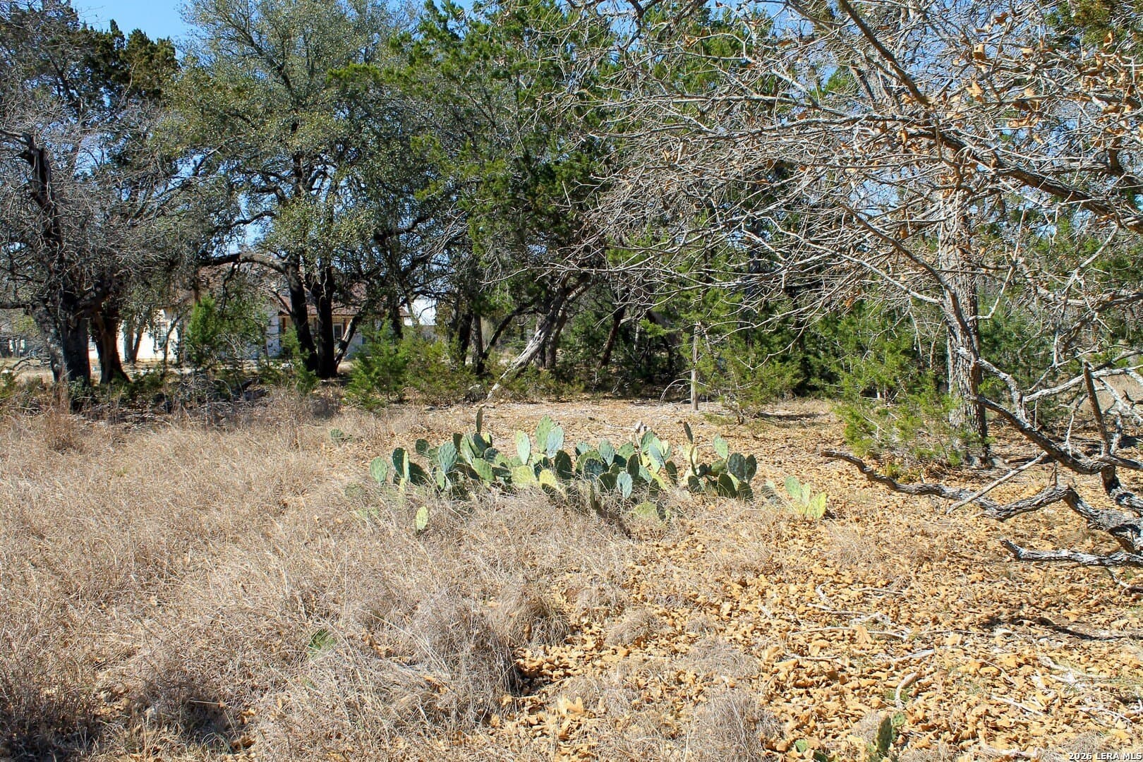 0.51 acres in Bandera County - photo 19