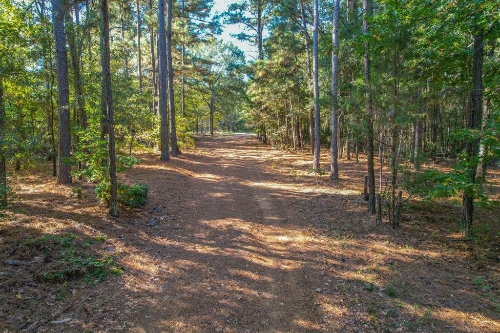 15.5 acres in Henderson County gallery image 2