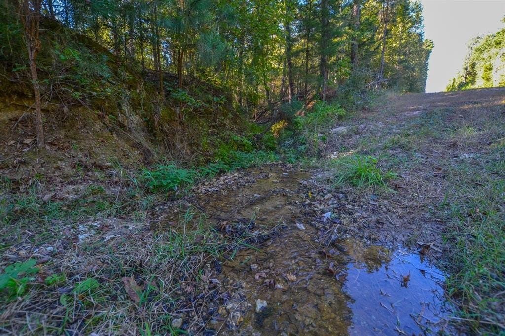 15.5 acres in Henderson County gallery image 4