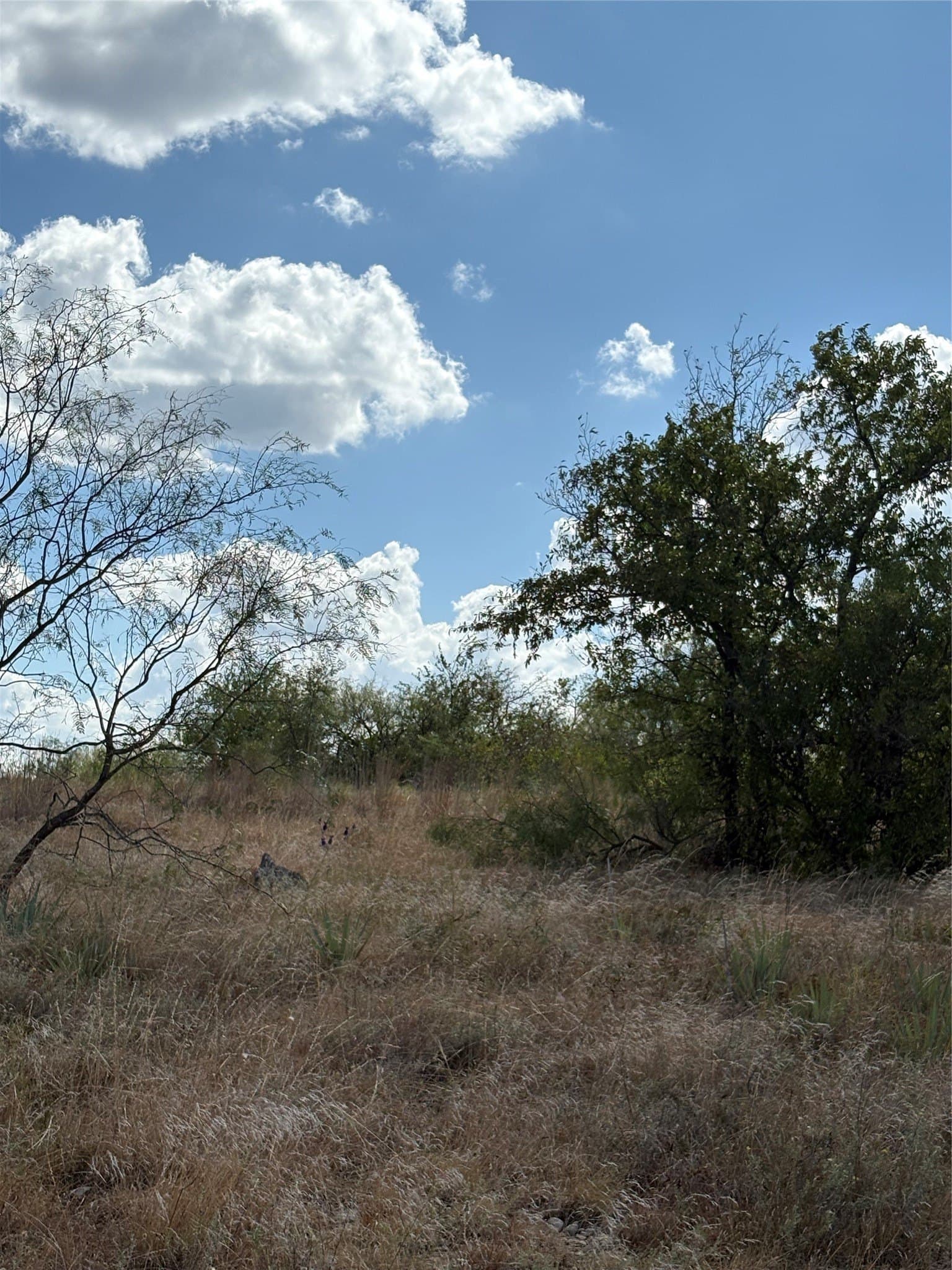 10.06 acres in Comanche County - photo 4