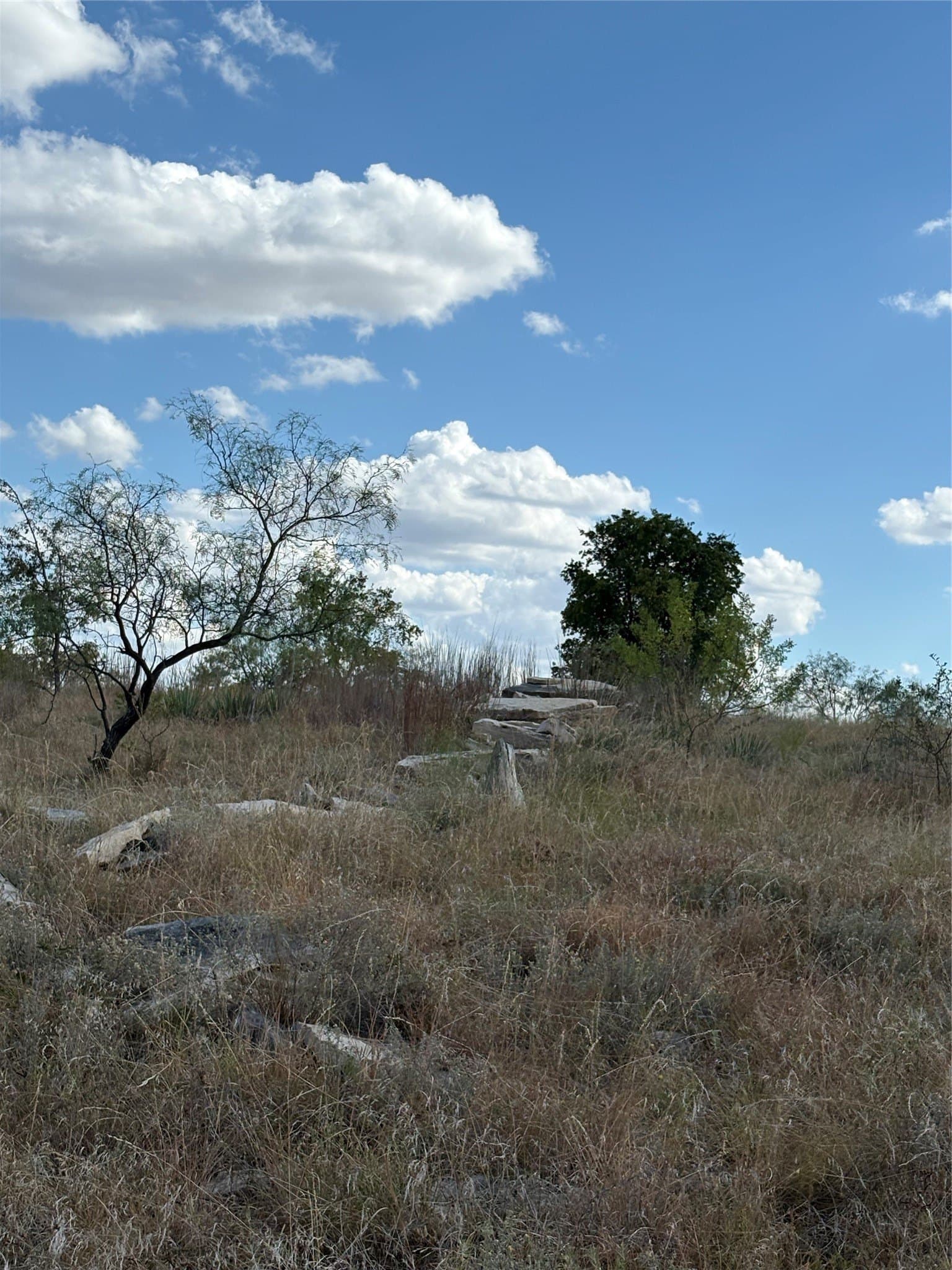 10.06 acres in Comanche County - photo 3