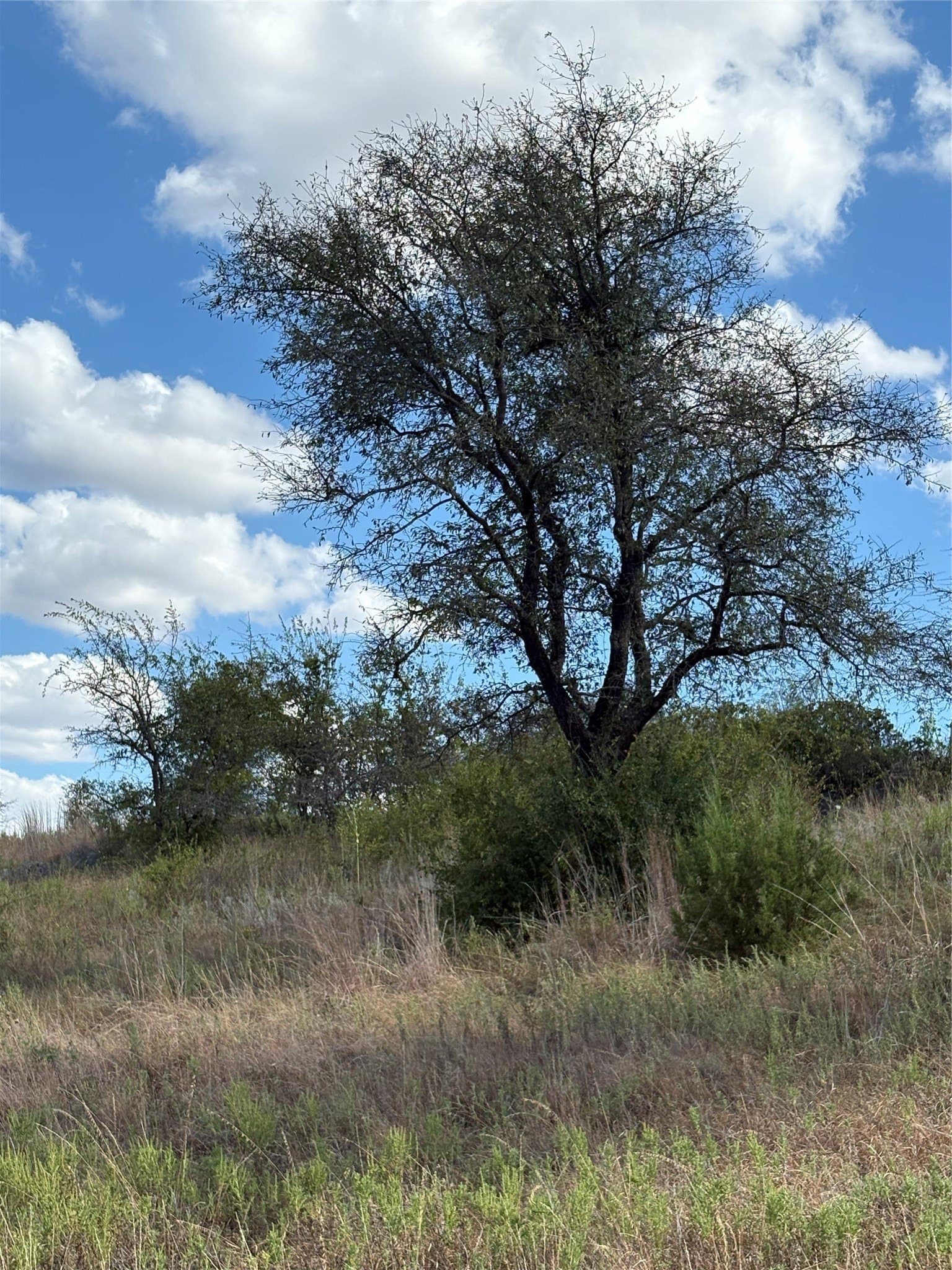 10.06 acres in Comanche County - photo 2