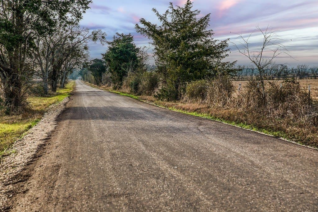 12 acres in Burleson County gallery image 2