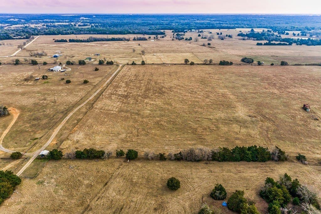 12 acres in Burleson County gallery image 3