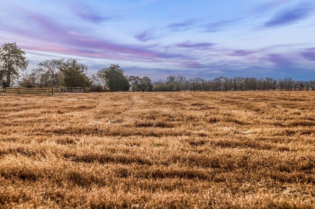 12 acres in Burleson County featured view