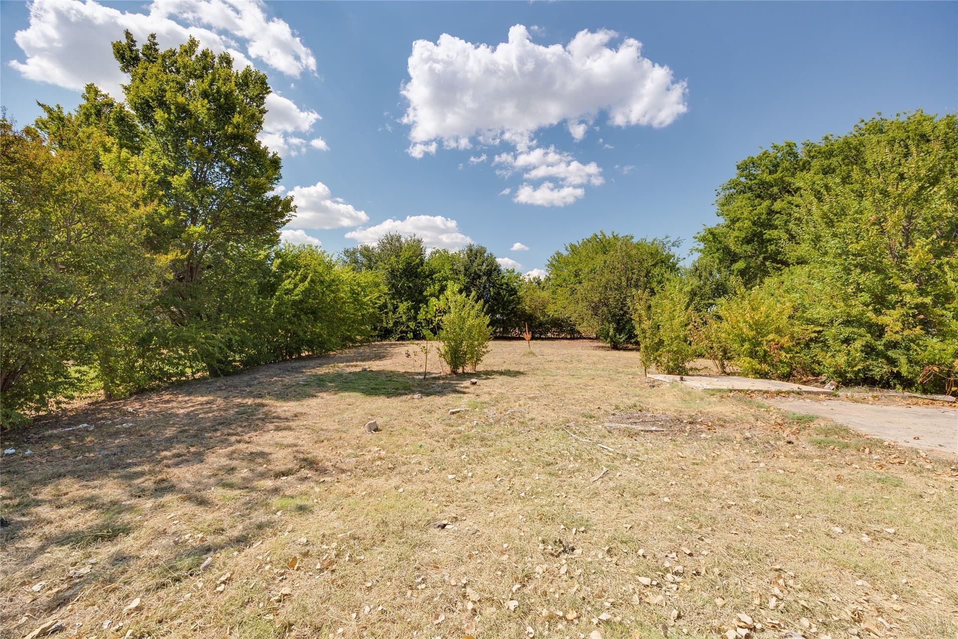 0.38 acres in Dallas County - photo 9