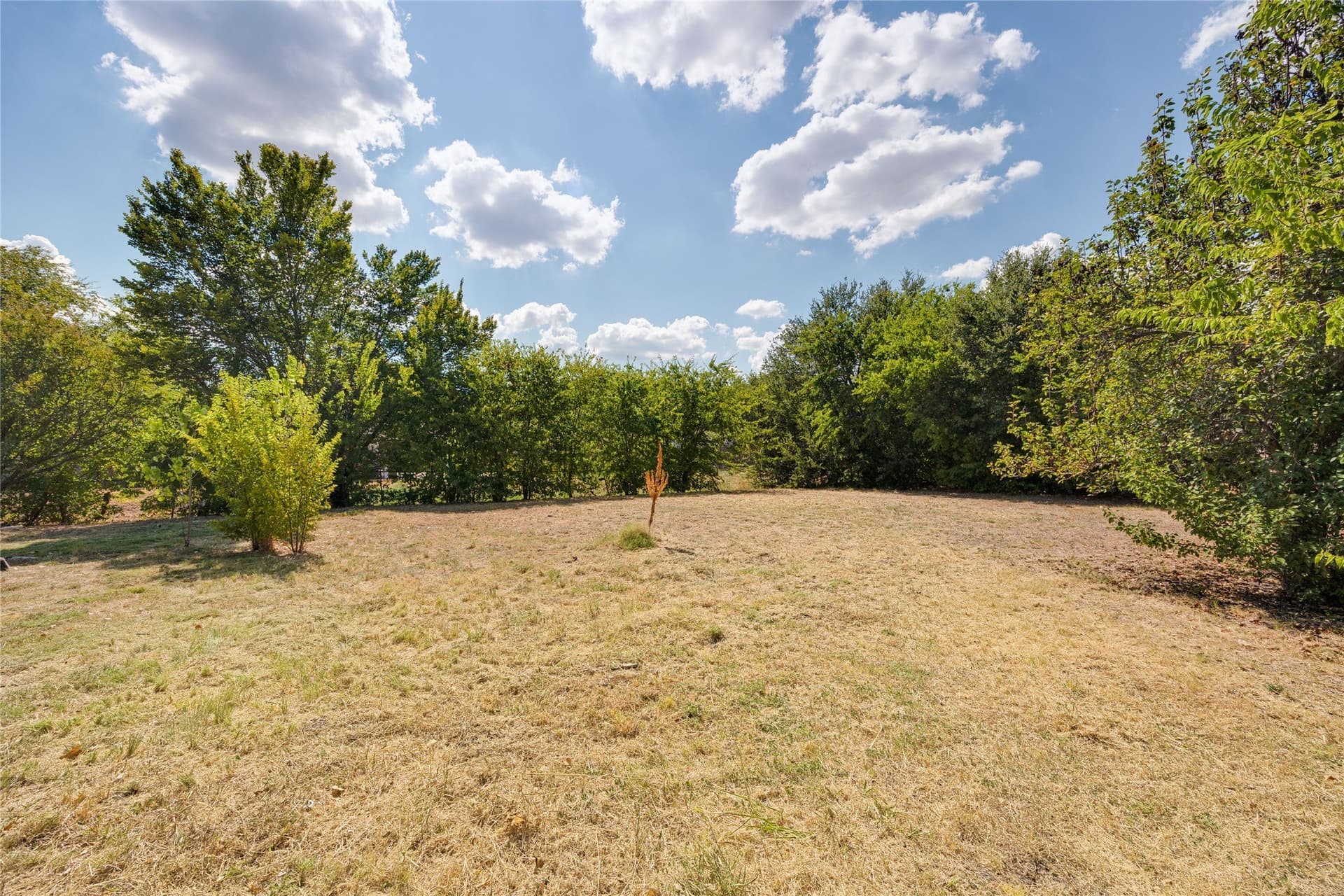 0.38 acres in Dallas County - photo 8
