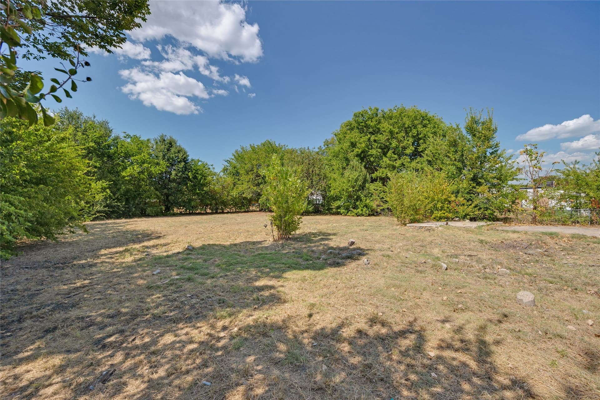 0.38 acres in Dallas County - photo 4