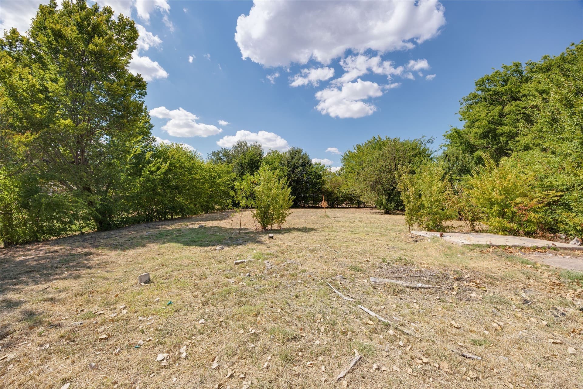 0.38 acres in Dallas County - photo 3