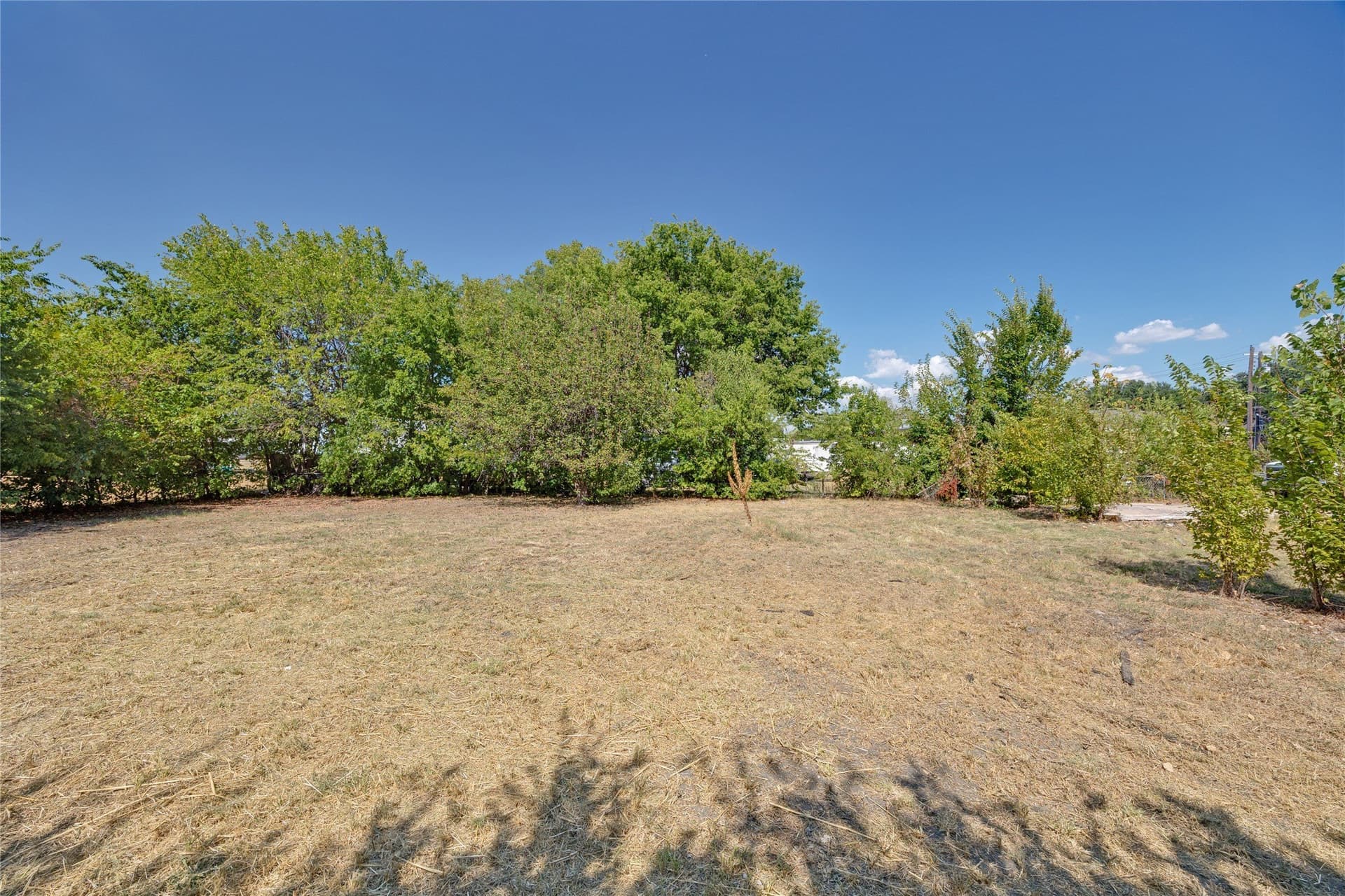 0.38 acres in Dallas County - photo 5