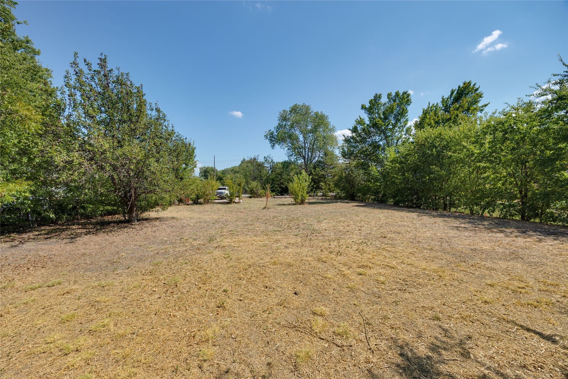 0.38 acres in Dallas County - photo 7