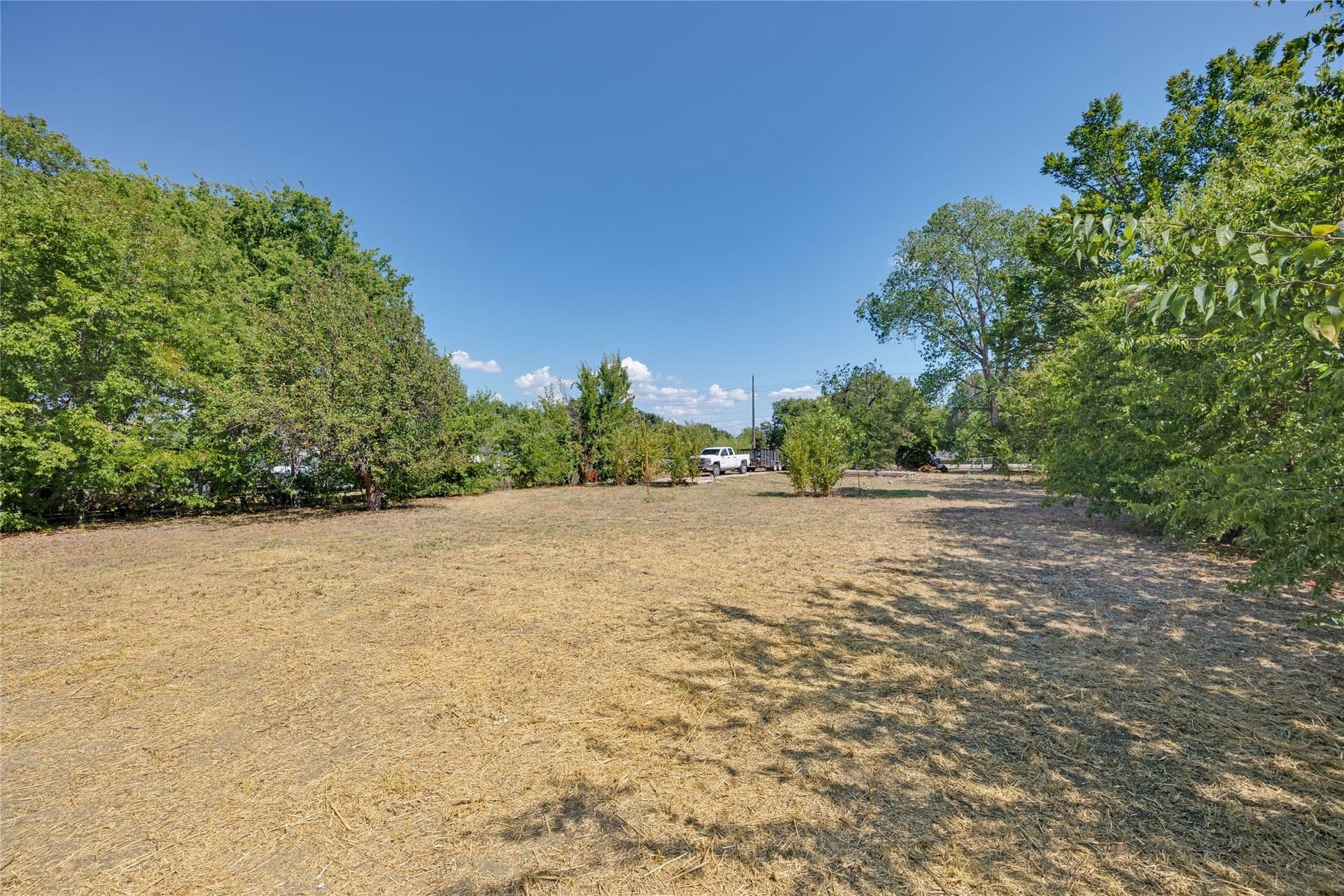 0.38 acres in Dallas County - photo 6