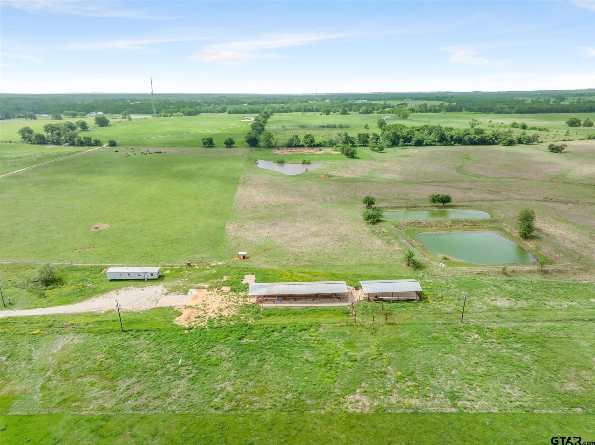 5 acres in Van Zandt County gallery image 3