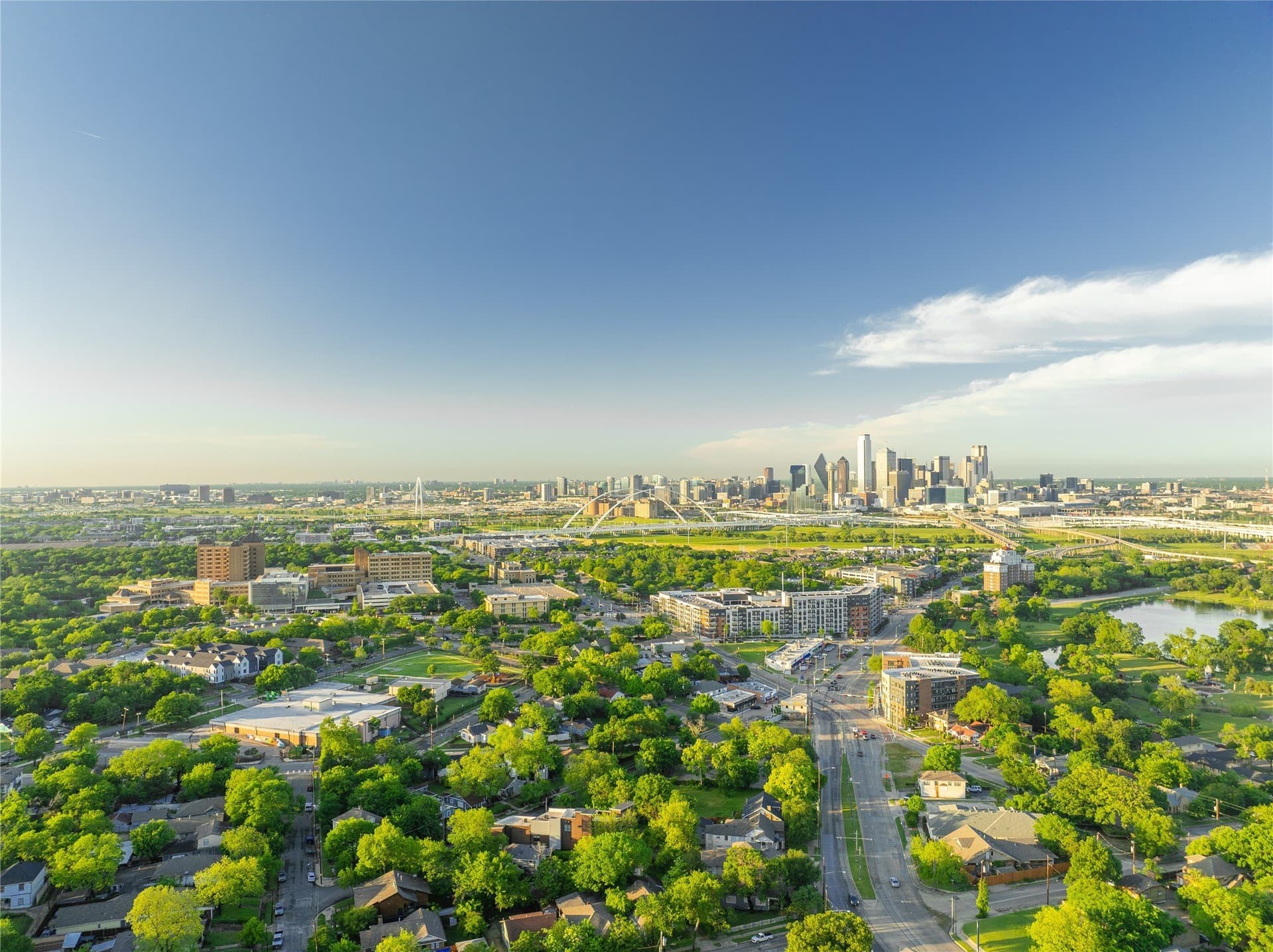 0.17 acres in Dallas County - photo 14