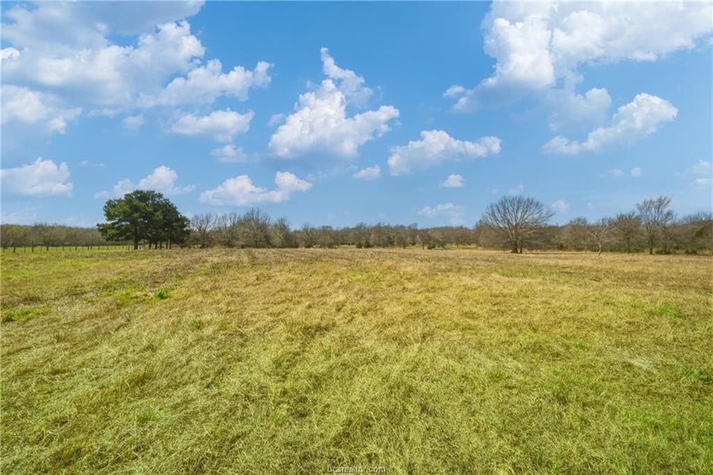 116.31 acres in Robertson County featured view