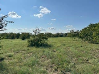 6.14 acres in Cooke County - photo 19