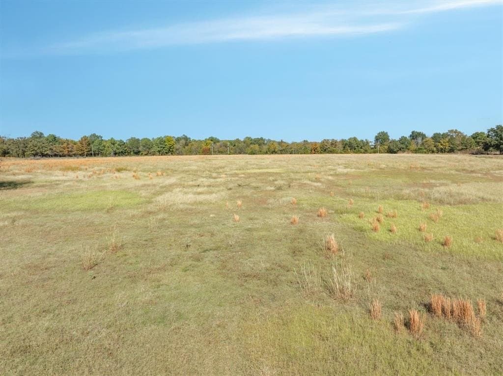 10 acres in Van Zandt County gallery image 4