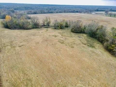 10.01 acres in Hopkins County gallery image 3