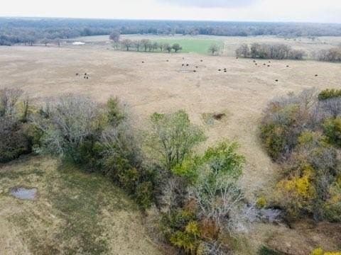 10.01 acres in Hopkins County gallery image 4