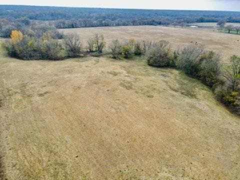 10.01 acres in Hopkins County gallery image 2
