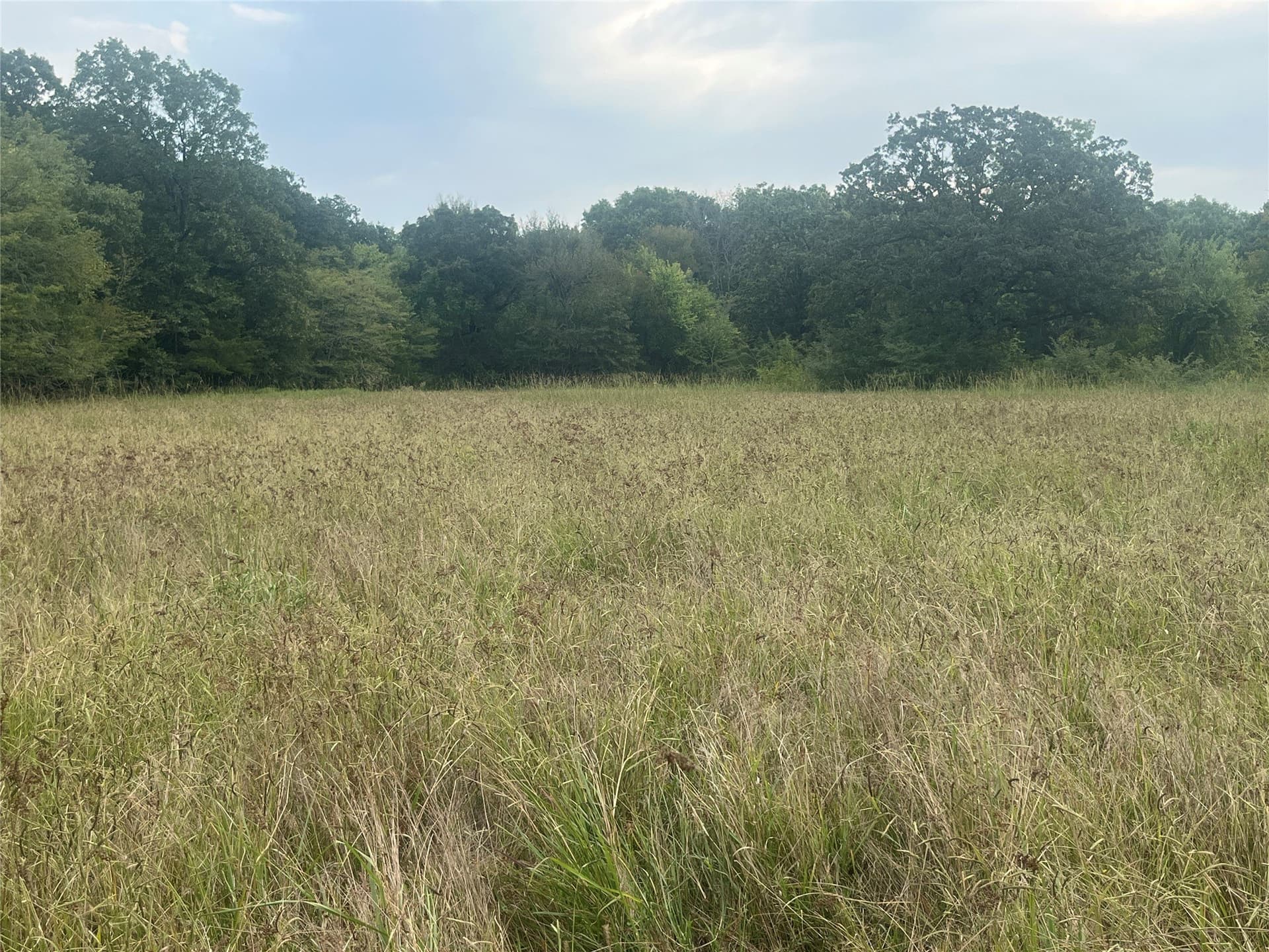 8 acres in Red River (TX) County gallery image 4